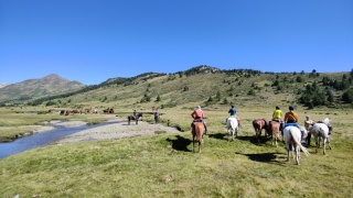 rando-cheval-cavqluinta-2023-50
