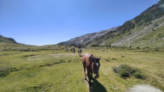 rando-cheval-cavqluinta-2023-51