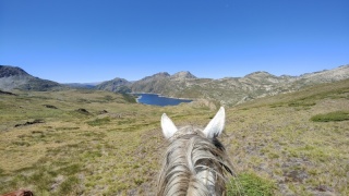 rando-cheval-cavqluinta-2023-54