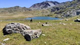 rando-cheval-cavqluinta-2023-55