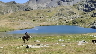 rando-cheval-cavqluinta-2023-56