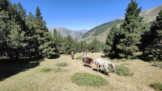 rando-cheval-cavqluinta-2023-58