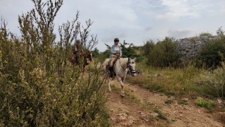 rando-cheval-cavqluinta-2023-6