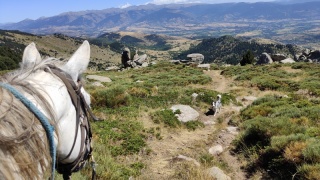 rando-cheval-cavqluinta-2023-60