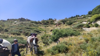 rando-cheval-cavqluinta-2023-61