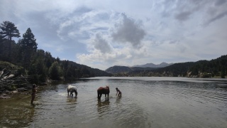 rando-cheval-cavqluinta-2023-62