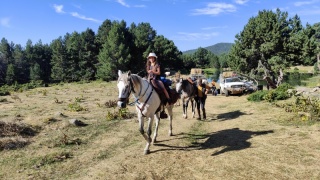 rando-cheval-cavqluinta-2023-64
