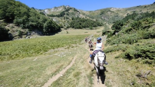 rando-cheval-cavqluinta-2023-68