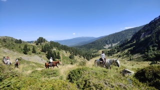 rando-cheval-cavqluinta-2023-70