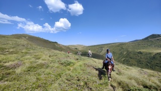 rando-cheval-cavqluinta-2023-72
