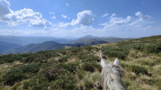 rando-cheval-cavqluinta-2023-73
