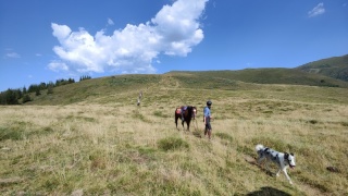 rando-cheval-cavqluinta-2023-74