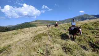 rando-cheval-cavqluinta-2023-75