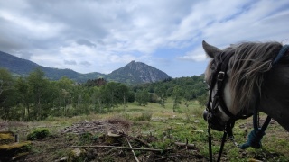 rando-cheval-cavqluinta-2023-85
