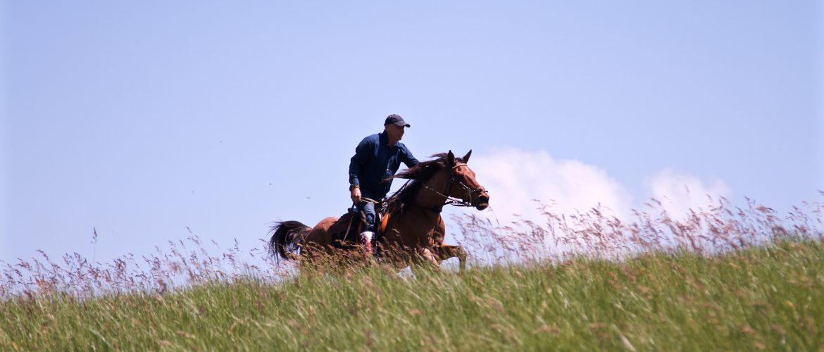 rando cheval cevennes