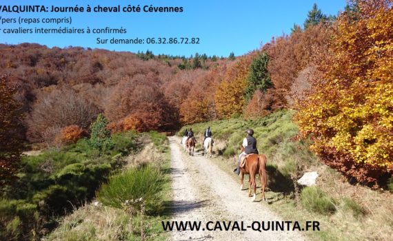 rando cheval cevennes