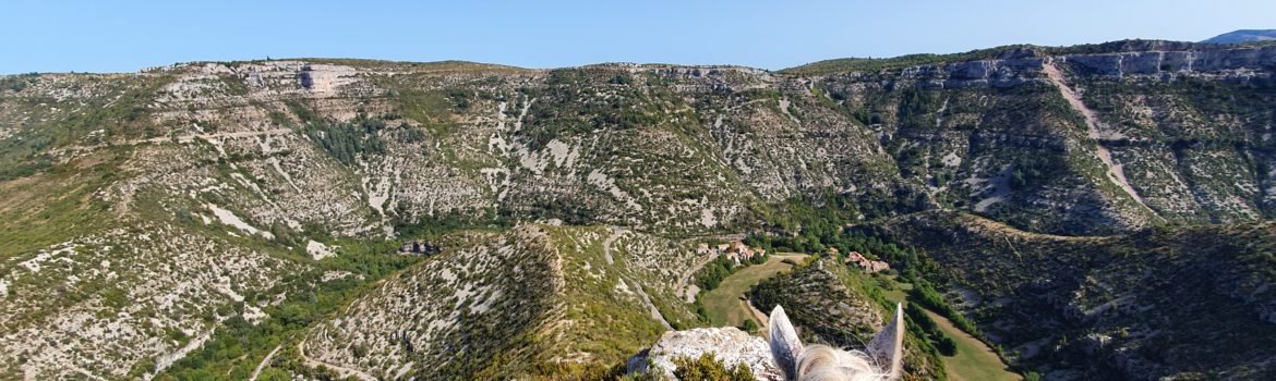 rando cheval cevennes