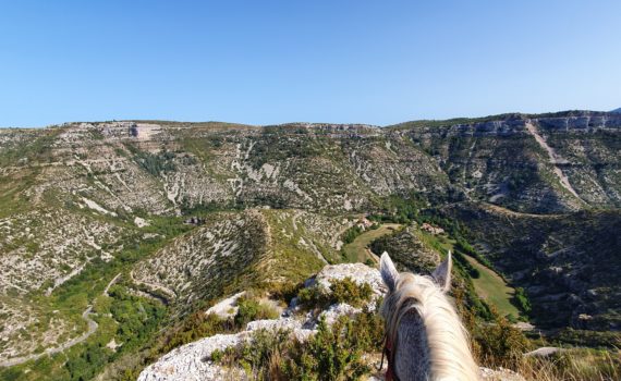 rando cheval cevennes