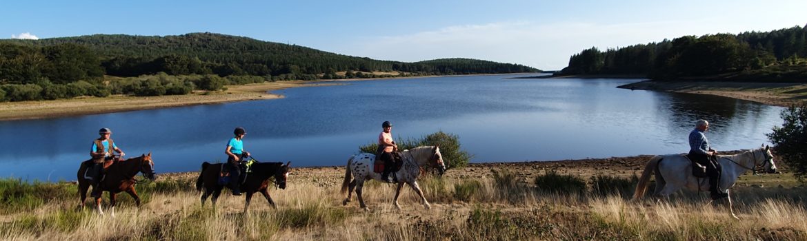 rando cheval sud france