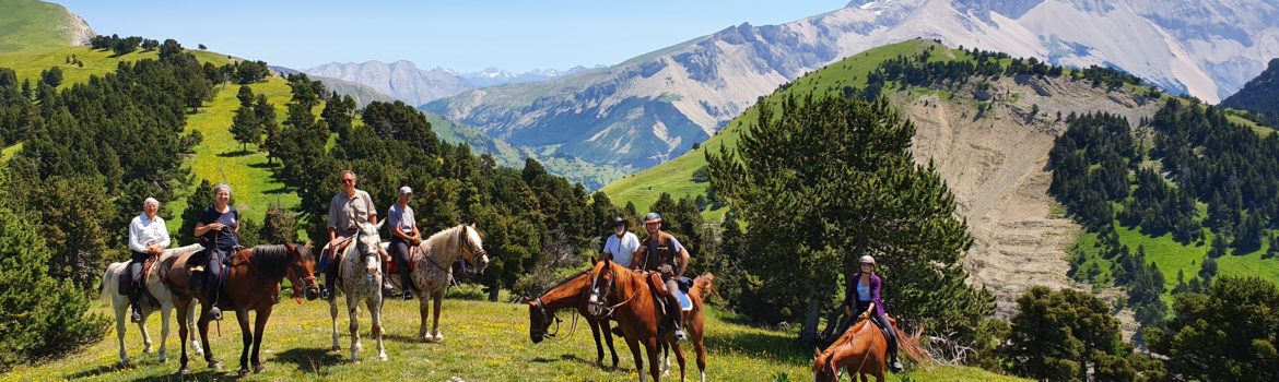 rando cheval alpes devoluy