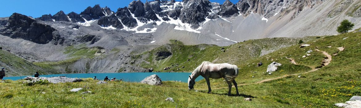 randonnée cheval voyage cheval