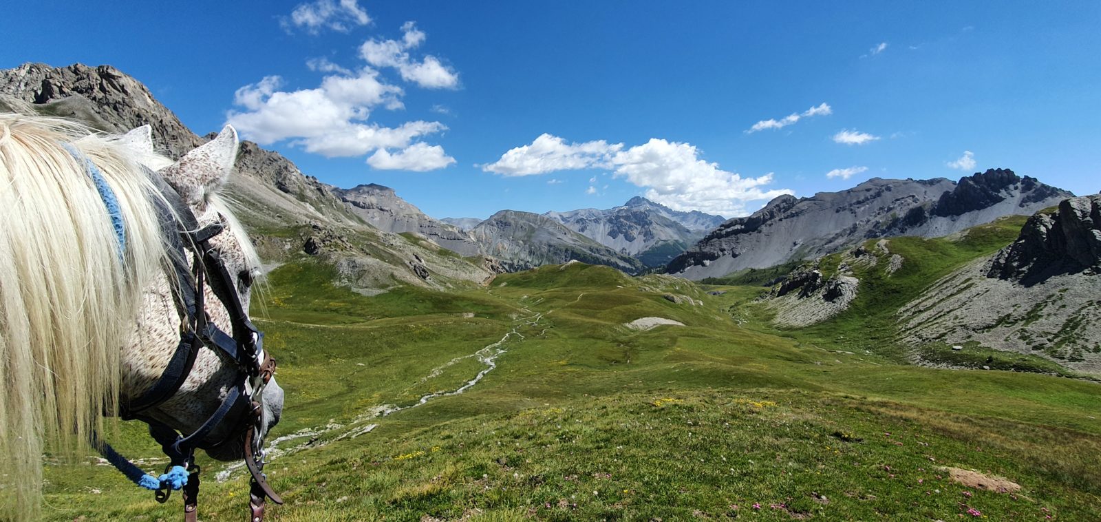 randonnée cheval alpes