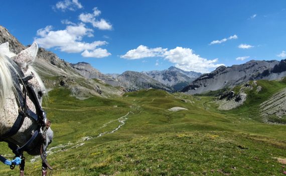 randonnée cheval alpes