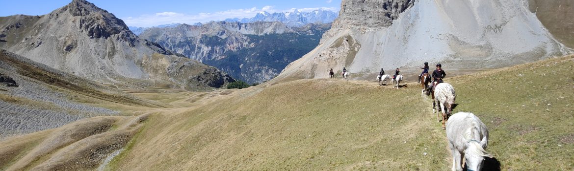 randonnée et voyage à cheval