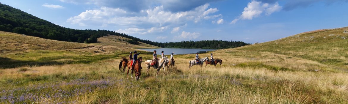 randonnée et voyage à cheval