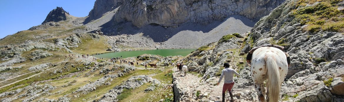 randonnée et voyage à cheval